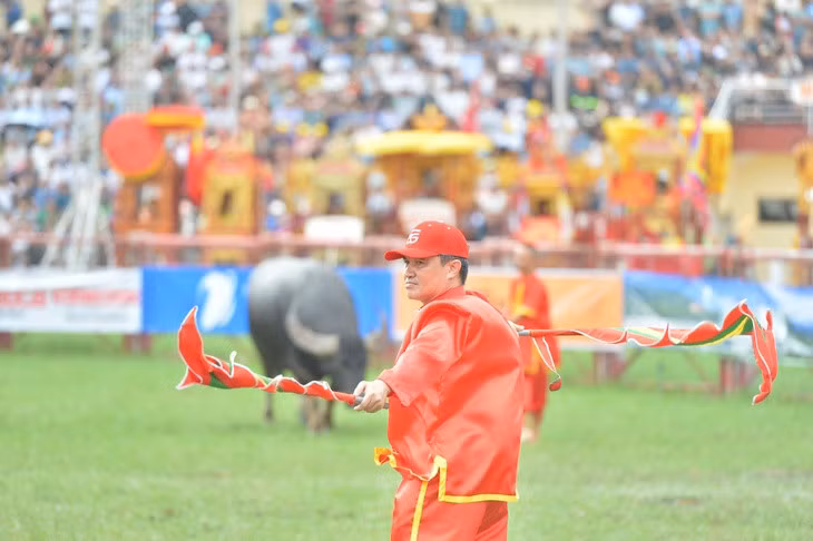 Những người "cầm cân nảy mực" tại lễ hội chọi trâu - Ảnh: PHAN TUẤN