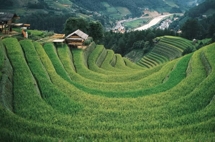 Khung cảnh đồi Móng Ngựa, một địa điểm thuộc xã Púng Luông (xã La Pán Tẩn cũ). Những thửa ruộng uốn lượn vòng quanh như từng lớp móng ngựa nối tiếp. Đây là nơi vừa có thể đón bình minh hoặc hoàng hôn, chụp ảnh check-in để có những bức ảnh đặc trưng về mùa lúa Mù Cang Chải.