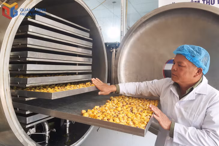 Sản phẩm trà hoa vàng của Công ty CP Lâm sản Đạp Thanh được chế biến bằng công nghệ sấy thăng hoa. Ảnh: Vân Anh