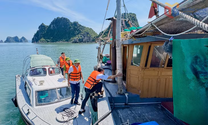 Lực lượng chức năng kiểm tra các phương tiện neo đậu tại khu tránh trú bão cảng Cái Rồng (đặc khu Vân Đồn).