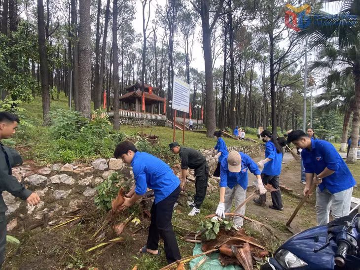 Đoàn viên thanh niên tỉnh hưởng ứng 