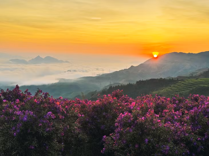 Biển mây ở đồi sim Suối Bon thường có vào buổi sáng sớm từ khoảng 5h sáng. Mây trắng bồng bềnh trên những đỉnh núi đỉnh đồi đằng xa, sắc tím của hoa sim lấp lánh dưới ánh ban mai ngay dưới chân bạn tạo nên khung cảnh thần tiên.