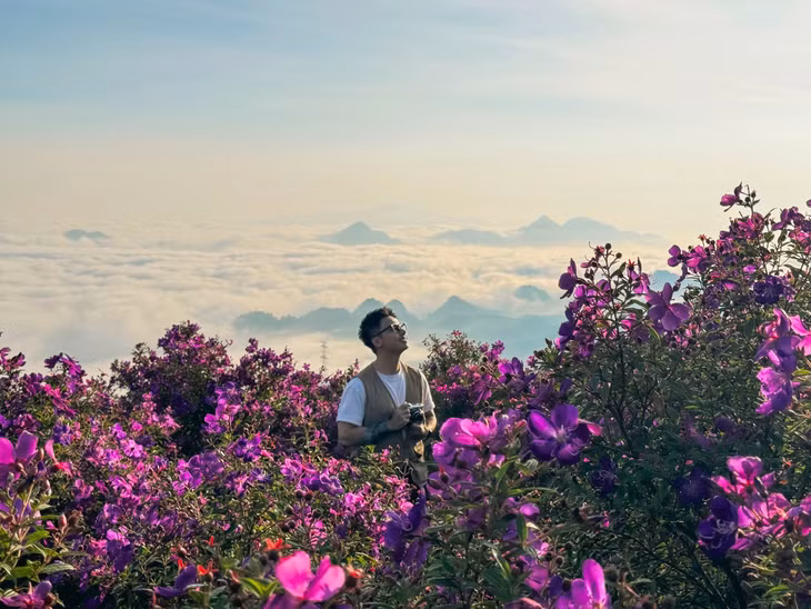Quang Kiên, một bạn trẻ làm du lịch và chụp ảnh tại Mộc Châu, chia sẻ: Thời gian đẹp nhất để tham quan và chụp ảnh ở Suối Bon là 5h - 10h sáng hoặc 15h - 18h. Bạn có thể cắm trại, tổ chức dã ngoại tự túc ngay trên đồi để tận hưởng không khí trong lành. Tuy nhiên, nhớ không xả rác, không hái hoa, bẻ cành để đồi sim luôn rực rỡ.