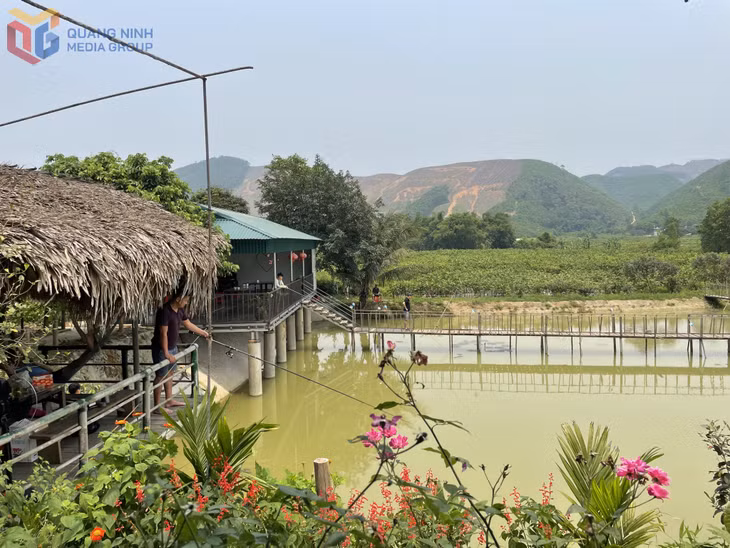 Mô hình du lịch trải nghiệm vườn của nông dân phường Hoành Bồ.