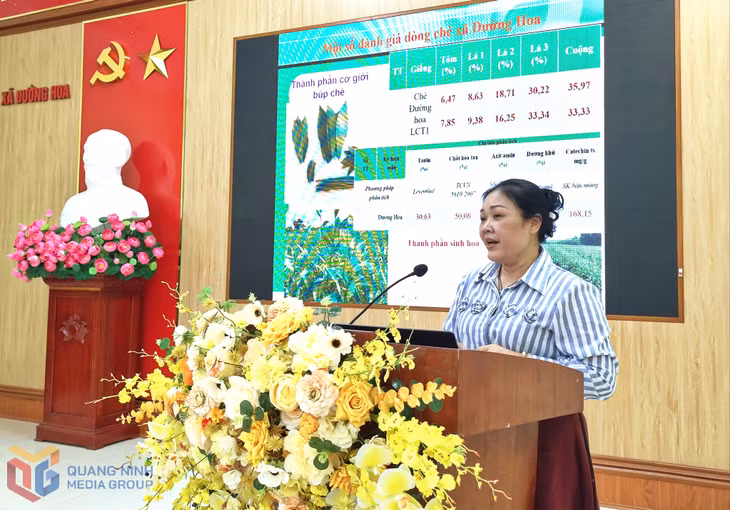 TS Nguyễn Thị Hồng Lam, Phó Giám đốc Trung tâm Nghiên cứu và phát triển chè, trao đổi về một số kết quả nghiên cứu giống, kỹ thuật canh tác chè an toàn.