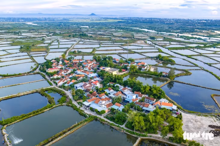 Thôn Phước Giang nằm lọt thỏm giữa những ao tôm bao bọc tứ phía. Ảnh: HUỲNH LÊ VIỄN DUY