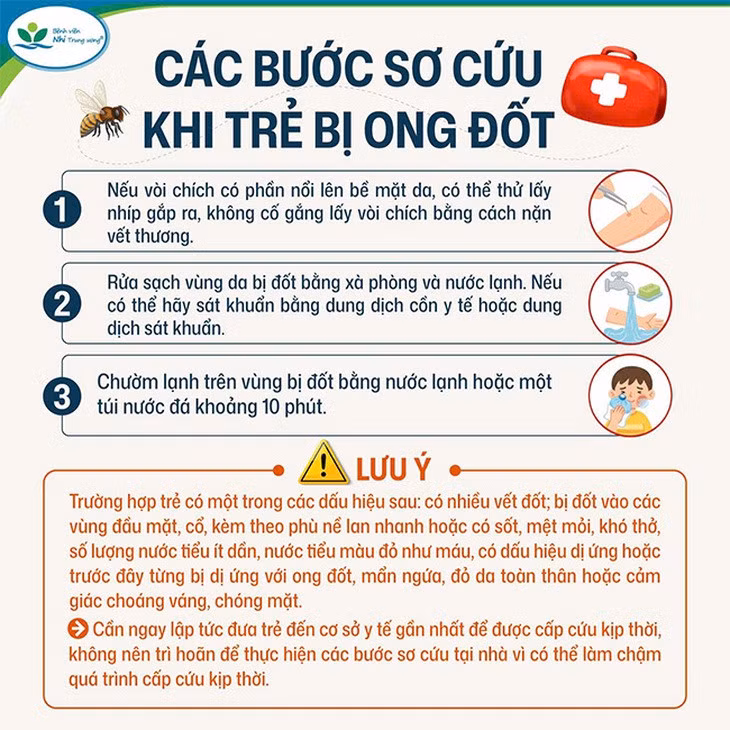 Các bước sơ cứu khi trẻ bị ong đốt - Ảnh: BVCC