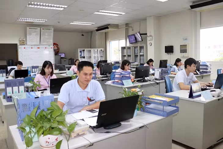 Không thành lập phòng trong vụ trực thuộc bộ, ngành.