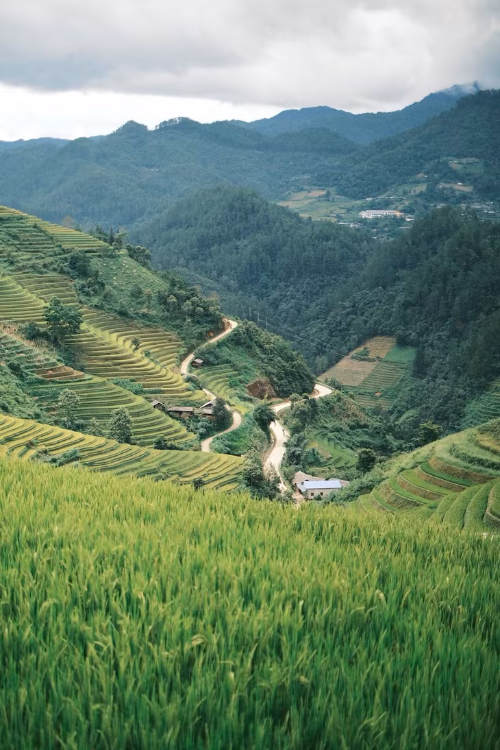 Đạt chia sẻ: “Đường đi ở Mù Cang Chải khá xóc, gập ghềnh, nếu di chuyển nhiều nên lựa chọn phương tiện phù hợp như xe giường nằm từ Hà Nội lên, thuê xe ôtô riêng, thuê xe máy xe ôm của dân bản địa...”