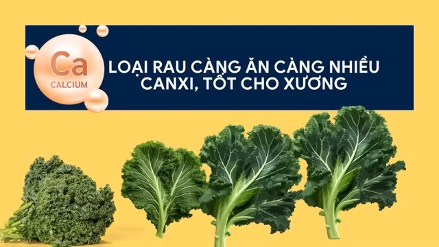 Rau cải xoăn chứa nhiều canxi tốt cho xương. Ảnh đồ hoạ: Hương Sơn