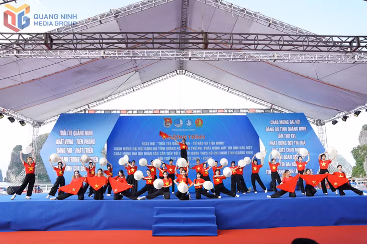 Tỉnh Đoàn tổ chức 