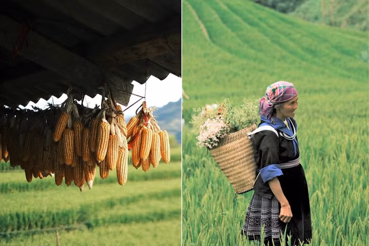 Những khoảnh khắc thơ mộng, dân dã mà Đạt chụp lại sau chuyến đi khám phá mùa thu Tây Bắc. Đến Mù Cang Chải đúng vào đầu mùa thu nên Đạt ấn tượng với khí hậu mát mẻ không quá lạnh, dễ chịu hơn so với các điểm Tà Xùa, Mộc Châu đã từng đi. Đồng bào dân tộc Thái, H'Mông ở đây thân thiện, giúp khách có nhiều trải nghiệm văn hóa thú vị.