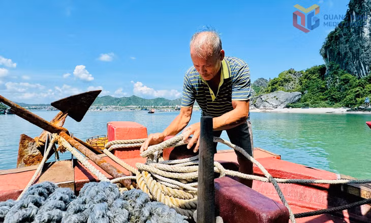 Ngư dân chằng buộc dây neo tàu tại khu vực tránh trú bão cảng Cái Rồng (đặc khu Vân Đồn).
