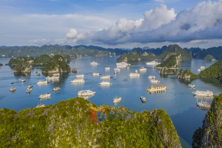 Mùa này, trời và nước cùng xanh biếc, tạo nên khung cảnh lý tưởng để du khách khám phá vẻ đẹp kỳ ảo của vịnh Hạ Long.