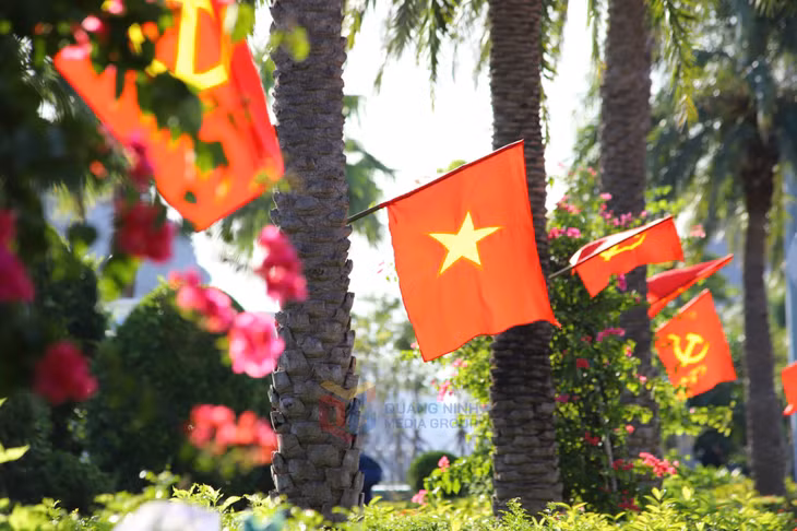 Cờ hoa rực rỡ tạo điểm nhấn đặc biệt.