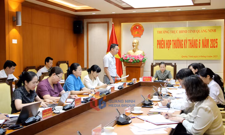 Đồng chí Lê Văn Ánh, Phó Chủ tịch HĐND tỉnh, phát biểu tại phiên họp.