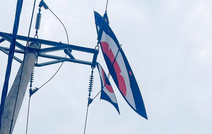 Diều mắc vào đường dây điện 110kV. Ảnh: CTV