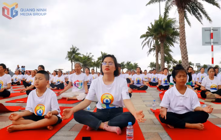 Các yogi nhí cũng nghiêm túc, tập trung cao độ tập luyện cùng người thân.