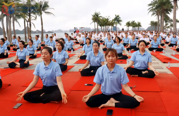 Các yogi tĩnh tâm ngồi thiền giữa không gian trong mát bên bờ biển Vịnh Hạ Long tuyệt đẹp.