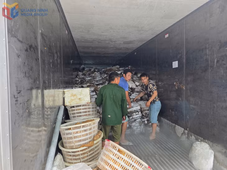 25 tấn thực phẩm đông lạnh không rõ nguồn gốc, xuất xứ được các lực lượng chức năng phát hiện tại một kho lạnh trên địa bàn TP Móng Cái, Quảng Ninh.