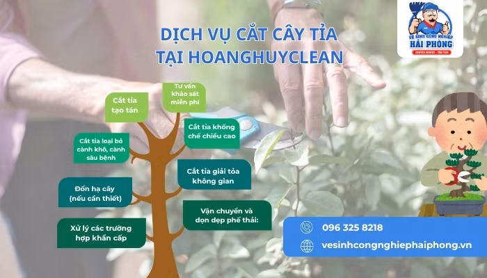 HOANGHUYCLEAN dịch vụ chặt cây, cắt tỉa cây xanh tại Hải Phòng ảnh 2