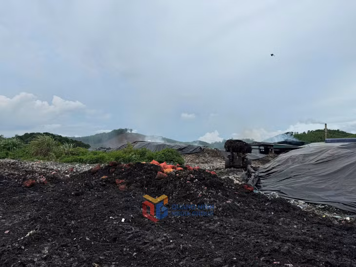 Toàn bộ tang vật vi phạm (ngao, hàu) được tiêu hủy tại nhà máy xử lý chất thải rắn tại thành phố Móng Cái. Ảnh: đơn vị cung cấp.