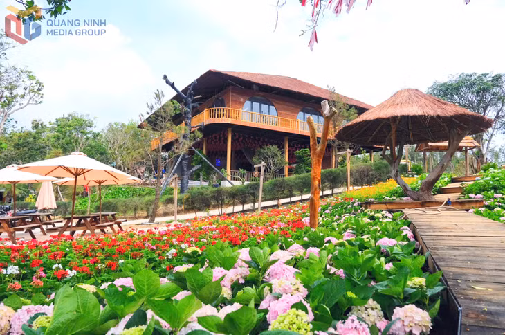 Không gian yên bình, các loài hoa đua sắc trong ánh nắng và gió biển...