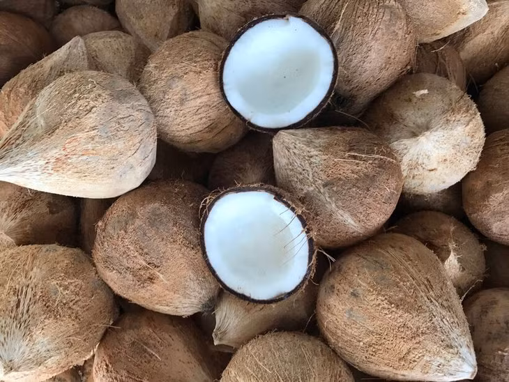 4 tháng đầu năm, Việt Nam đã chi 7,2 triệu USD để nhập khẩu dừa chế biến, tăng 11,3 lần so với cùng kỳ năm ngoái. Ảnh minh họa