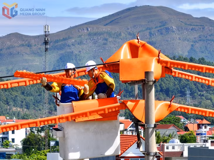Công nhân Công ty Điện lực Quảng Ninh sửa chữa, nâng cao độ tin cậy cấp điện cho các đường dây.