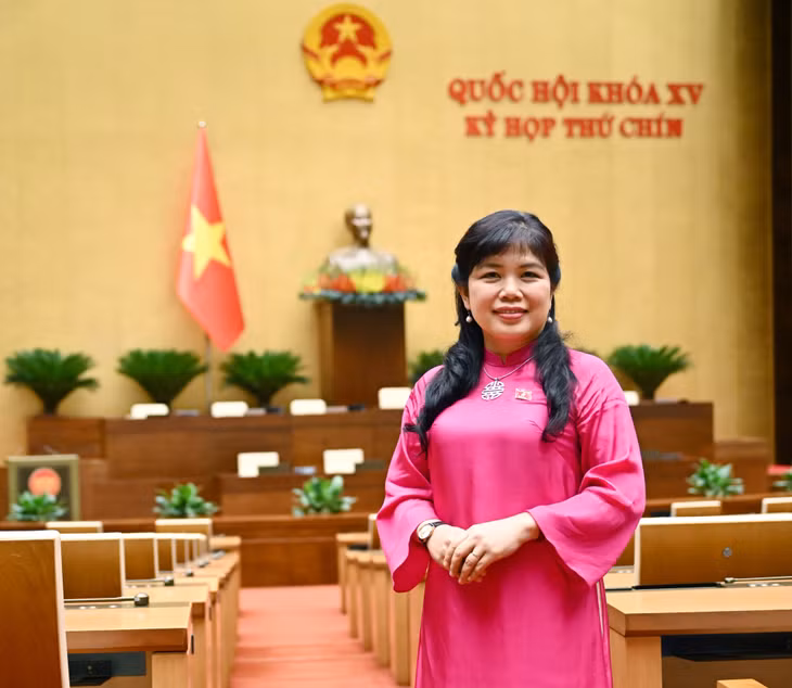 “Kỳ họp thứ 9 là dấu mốc lịch sử trong tiến trình đổi mới thể chế” ảnh 1
