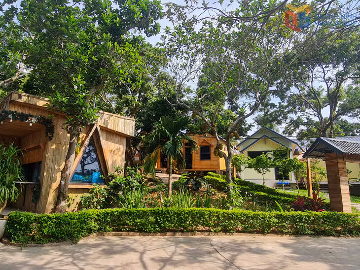 Không gian xanh mát tại Khe Mai Farm.