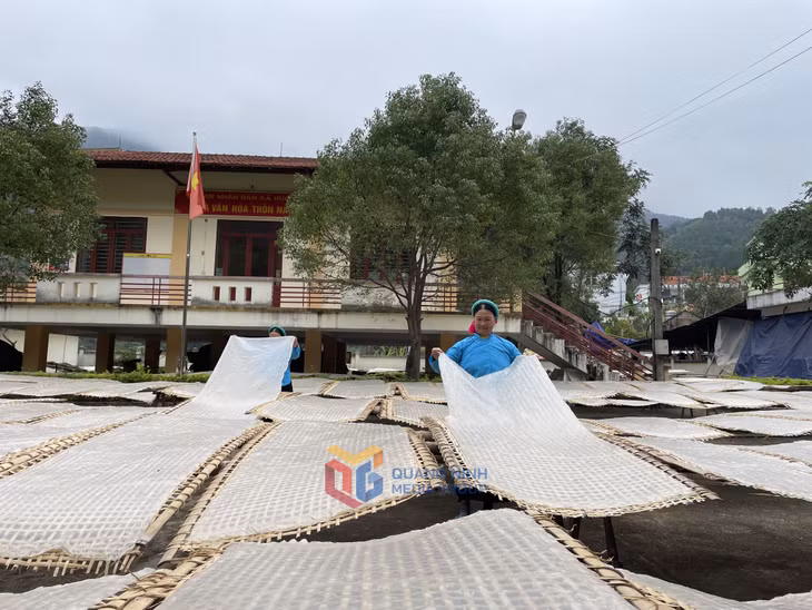 Công nhân HTX xã Húc Động, huyện Bình Liêu phơi miến.