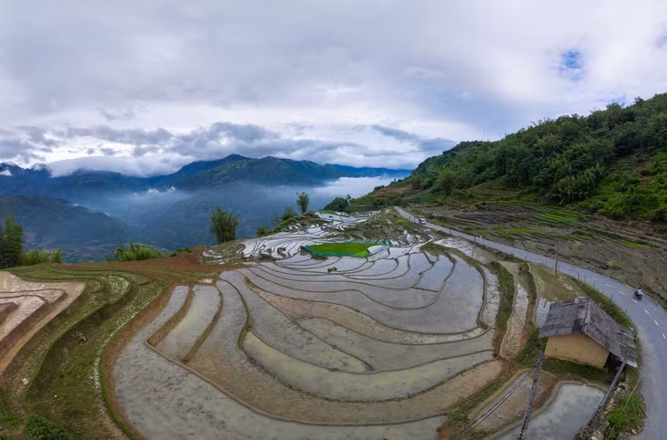 Để tham quan những ruộng bậc thang này, du khách có thể nghỉ tại trung tâm xã Y Tý, sau đó thuê xe máy tự lái hoặc đi xe ôm. Ảnh: NAG Cao Như Thụy