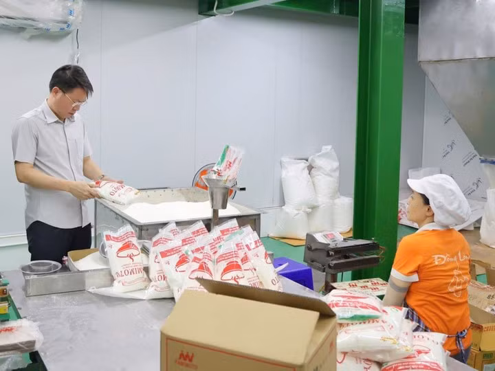 Dầu ăn, mì chính và hạt nêm giả phát hiện ở Phú Thọ. Ảnh: Công an tỉnh Phú Thọ.