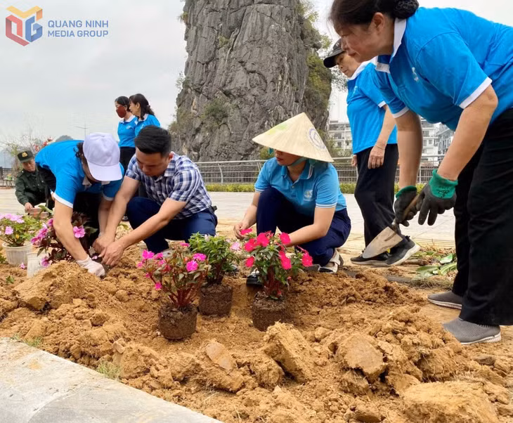 Nhân dân phường Hồng Hải tích cực tham gia trồng hoa tại hồ Hải Thịnh.