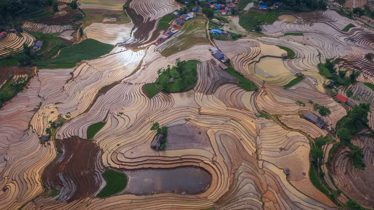 Tranh thủ những cơn mưa đầu mùa, nước được giữ lại và dẫn về từ các thửa ruộng trên cao, trải đều xuống các ruộng phía dưới. Ảnh: NAG Cao Như Thụy