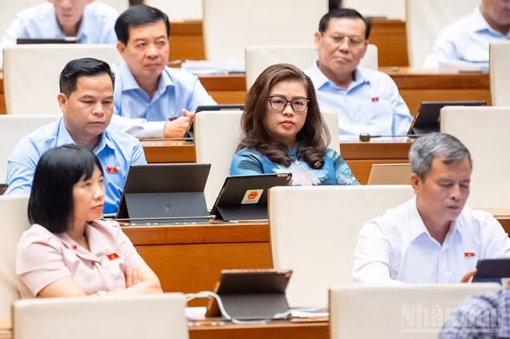 Các đại biểu Quốc hội tham dự phiên họp. (Ảnh: DUY LINH)