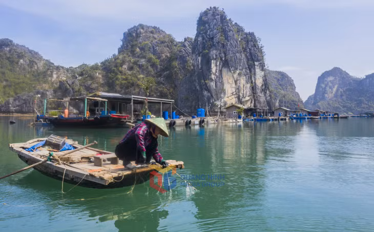 Bình yên cảnh người dân kéo lưới