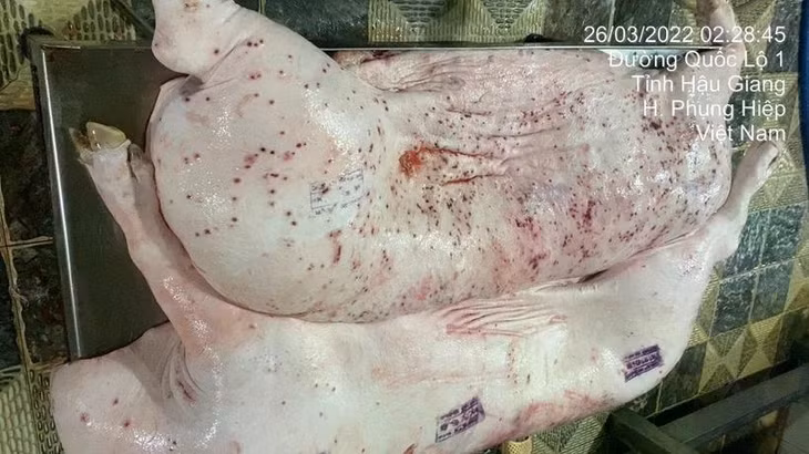 Ảnh người dân đăng tải tố cáo Công ty C.P Việt Nam bị tố bán "thịt bẩn". (Ảnh: Facebook)