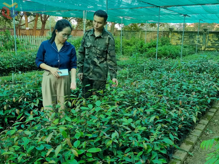 Phóng viên Trung tâm Truyền thông tỉnh trong chuyến tác nghiệp tại Vườn quốc gia Bái Tử Long.