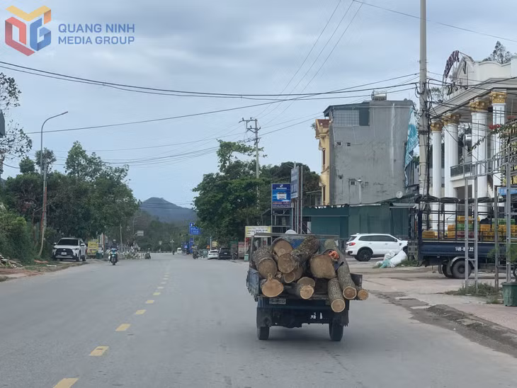 Xe tự chế lưu thông trên địa bàn phường Hà Khánh (TP Hạ Long). Ảnh chụp ngày 30/5/2025