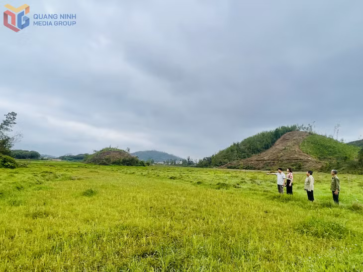 Không chỉ khó khăn về nhà ở, người dân thôn Tràng Hương, xã Đoàn Kết (huyện Vân Đồn) còn bức xúc vì nhiều diện tích đất nông nghiệp bị bỏ hoang, không sản xuất được do nằm trong vùng dự án.