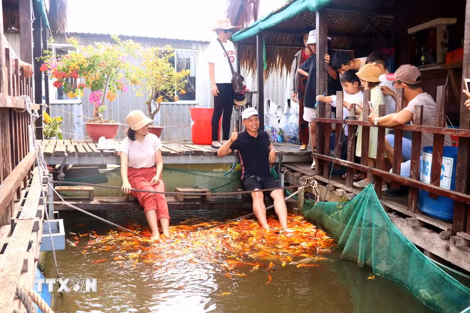Khách du lịch ở Cần Thơ. (Nguồn: TTXVN)