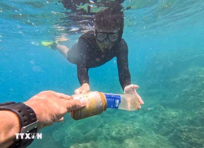 Tình nguyện viên lặn biển dọn rác tại khu vực san hô Hòn Sup trong “Clean Up Son Tra” - một chương trình bảo vệ môi trường tại bán đảo Sơn Trà (Đà Nẵng). (Ảnh: TTXVN phát)