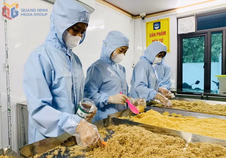 Sản phẩm ruốc được chế biến tại cơ sở sản xuất ruốc ngon sạch Thảo Nguyên (phường Cửa Ông).