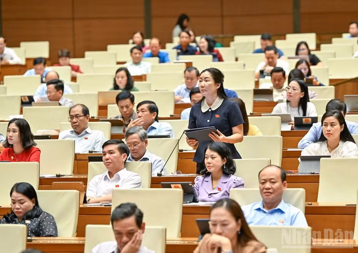 Đại biểu Trần Thị Thu Phước (Đoàn Kon Tum) phát biểu tại hội trường. (Ảnh: DUY LINH)
