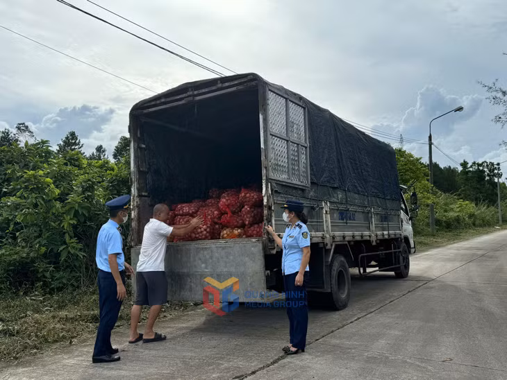 Đội QLTT số 1 kiểm tra phương tiện vận chuyển 9.100kg ngao không rõ nguồn gốc, xuất xứ.
