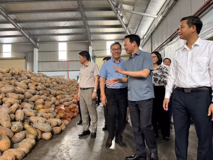 Bộ trưởng Bộ NN&amp;MT Đỗ Đức Duy (áo ghi) tham quan một cơ sở chế biến nông sản xuất khẩu tại Bắc Giang - Ảnh: VGP/Đỗ Hương