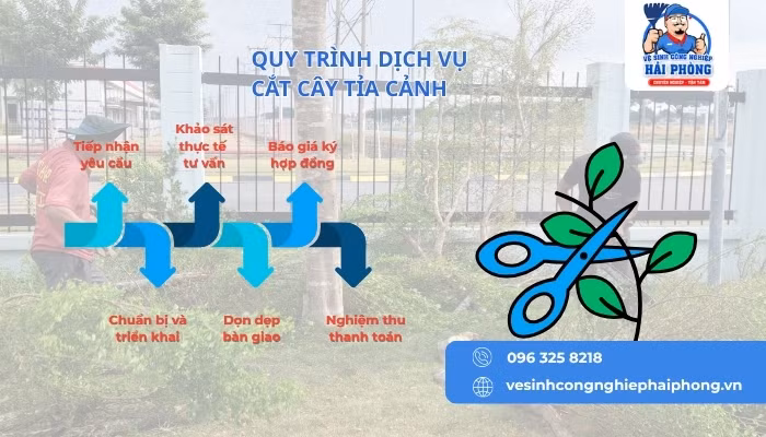 HOANGHUYCLEAN dịch vụ chặt cây, cắt tỉa cây xanh tại Hải Phòng ảnh 6