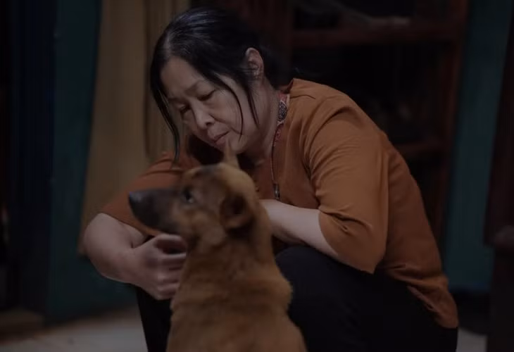 Phim Tìm xác trở lại với diện mạo mới - Ảnh 1.